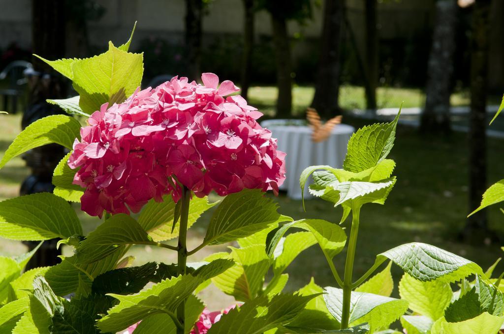 Hostal Ayestaran I Лекунбери Екстериор снимка